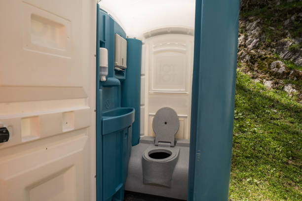 Best Portable Toilets with Baby Changing Stations  in Berrien Springs, MI