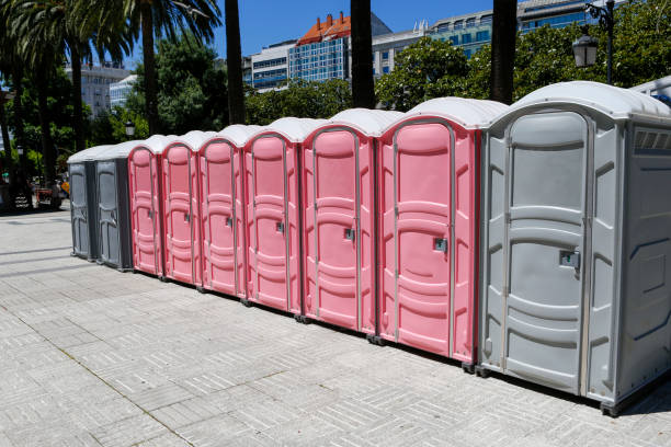 Best Construction Site Portable Toilets  in Berrien Springs, MI