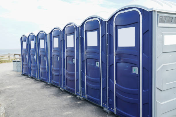 Best Eco-Friendly Portable Toilets  in Berrien Springs, MI